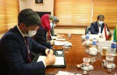 اعلام اولویت همکاری های معدنی ایران و استرالیا/ گزینه سنگ آهن استرالیا برای طرح های فولاد ساحل 