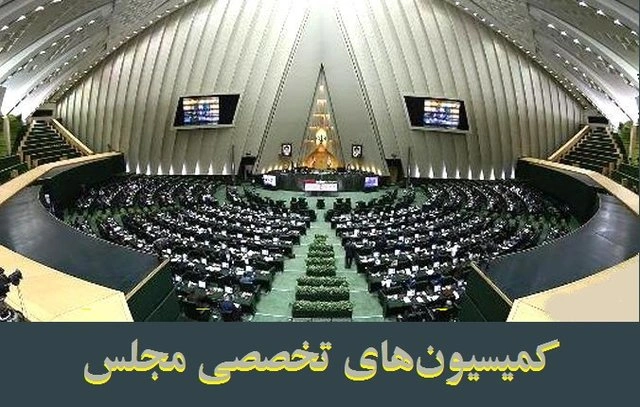 تمرکز کمیسیون‌های تخصصی بر اولویتهای نظارتی و تقنینی و رویکرد برنامه‌محور 
