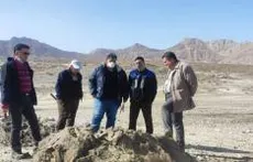 همکاری مشترک با معدن و دانشگاه در دستور کار سازمان زمین‌شناسی و اکتشافات‌معدنی کشور