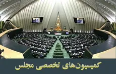 تمرکز کمیسیون‌های تخصصی بر اولویتهای نظارتی و تقنینی و رویکرد برنامه‌محور 